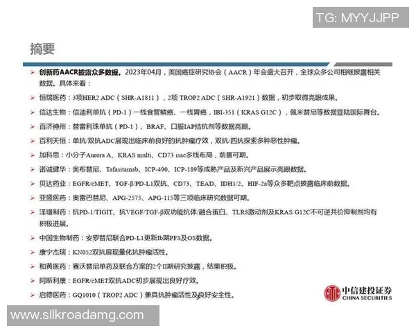 北京排球队技术分析与战术创新的深度探讨与展望